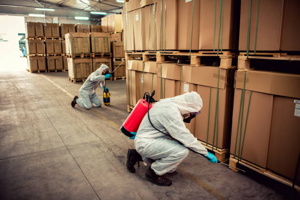 Best Commercial Pest Control Services  in Woodruff, SC