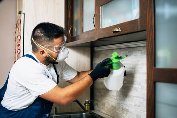 Best Best Pest Control Companies  in Woodruff, SC