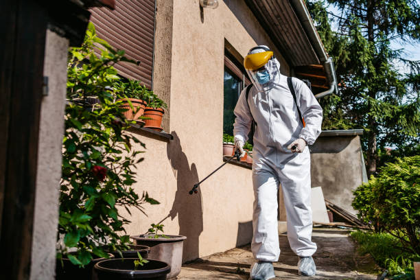 Best Rat Extermination Near Me  in Woodruff, SC