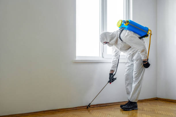 Pest Prevention Services in Woodruff, SC