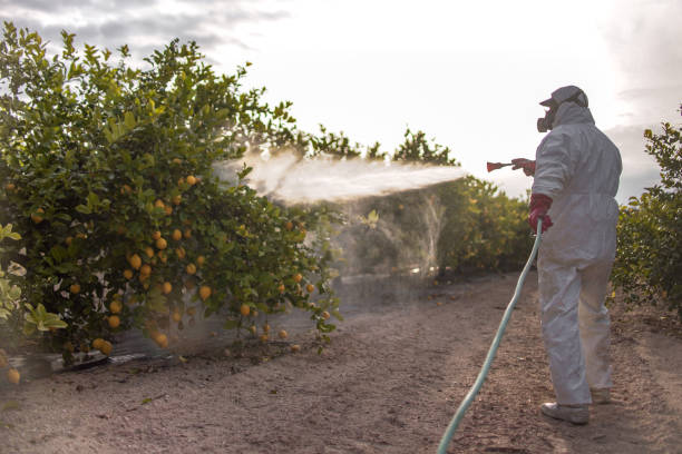 Woodruff, SC Pest Control Company