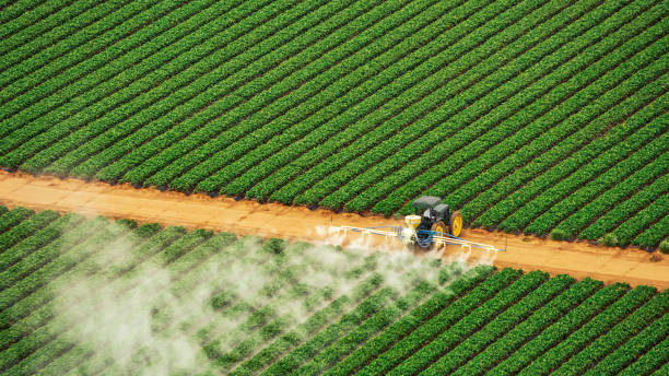 Best Best Pest Control Companies  in Woodruff, SC