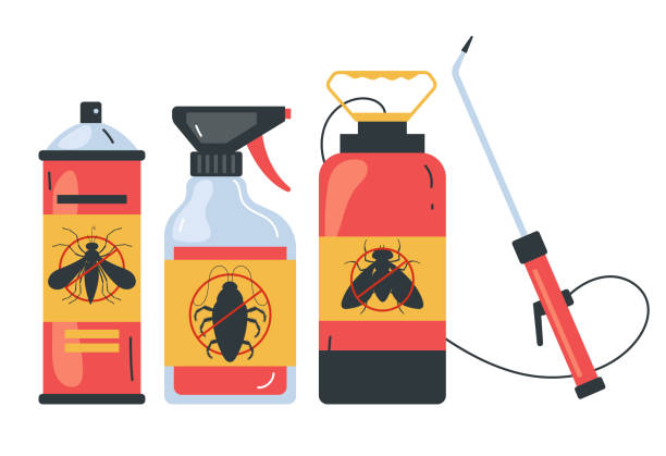 Wasp Removal Services in Woodruff, SC