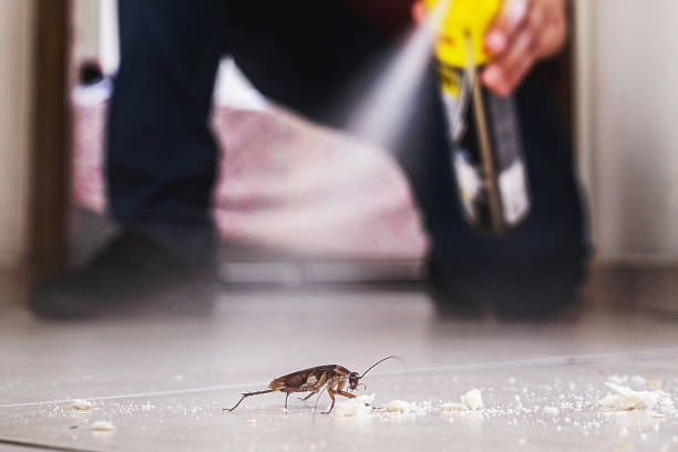 Best Exterminator Services  in Woodruff, SC