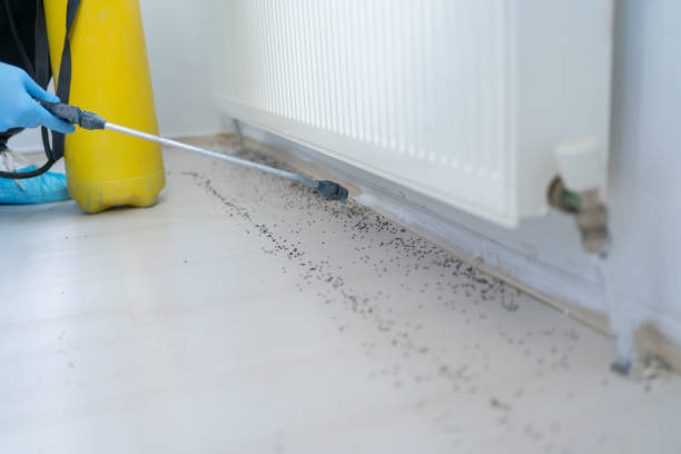 Best Wildlife Control Services  in Woodruff, SC