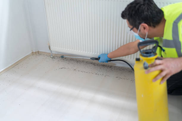 Best Local Pest Control Services  in Woodruff, SC